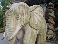 -华雅花园大酒店