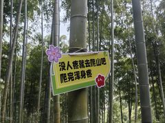 -东明山森林公园