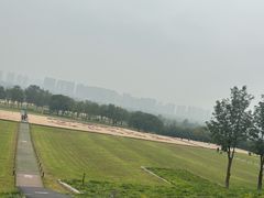 -汉长安城未央宫国家考古遗址公园