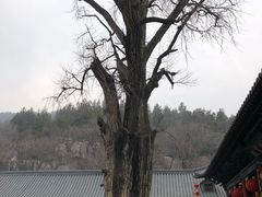-青檀寺景区
