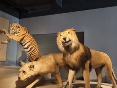 -自然博物馆(地铁站)