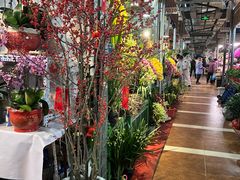 -朝来春花卉市场
