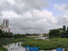 -中澳友谊花园