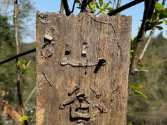 -长沙黑麋峰国家森林公园