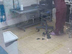 -美联众合动物医院·24h京西诊疗中心