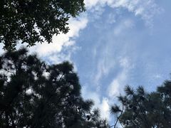 -艾溪湖湿地公园