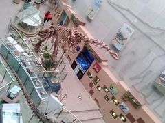 -陕西自然博物馆