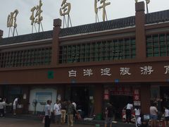 -白洋淀景区