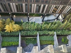 -上海崇明金茂凯悦酒店