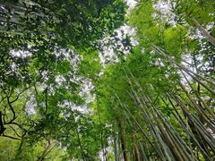 -广州市白云山风景名胜区