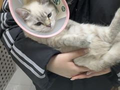 -瑞派宠物医院·24h·骨外科·皮肤科·全科宠物医疗转诊中心(沈阳浑南院)