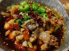 -付小姐在成都(中山公园店)