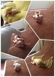 点击看大图 iphone_upload_pic-西瓜庄园儿童摄影