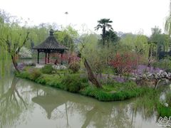 -盆景园(扬州大运河文化旅游度假区)