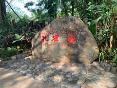 -西双版纳傣族园