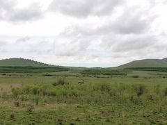 -塞罕坝国家级自然保护区