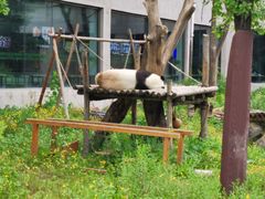 -沈阳森林动物园