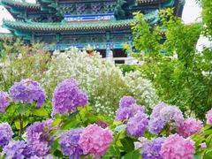 -阅江楼风景区