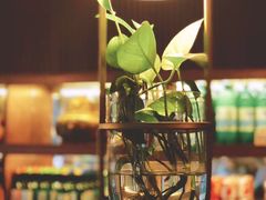 -梅梅家的烤肉店(槐北路店)