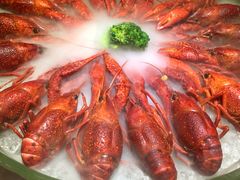 -红盔甲·小龙虾(天钥桥店)