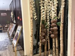 -益健·足疗汗蒸SPA(芙蓉广场店)