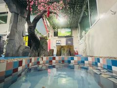 -兴芮温泉度假区