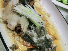 -梅龙镇酒家(南京西路总店)