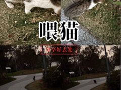 -上海植物园-4号门售票处
