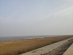 -南汇嘴观海公园