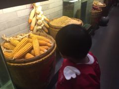 -凤凰山斑鱼馆(恭城店)