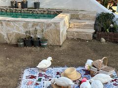 -HERRE·FARM 赫尔露营农场·团建聚会包场