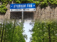 -日照海滨国家森林公园