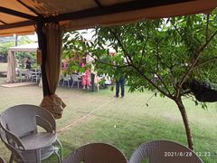 -玫瑰庄园·自助烧烤·烤全羊·团建拓展(龙泉山店)