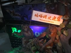 -游龙石文化科普馆