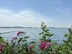 -东湖生态旅游风景区