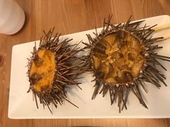 -海胆小馆(东北水饺·春柳店)