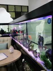 -可爱多国际儿童摄影会馆(龙泉店)