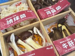-生活如沸·顺德水牛奶火锅(大学路店)
