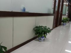 -上海天伦医院