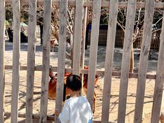 -水上乐园·欢乐世界