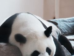 -宁波野生动物园