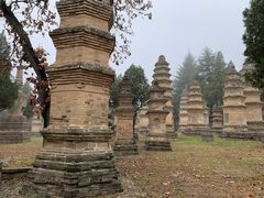 -少林寺欢喜地素斋馆