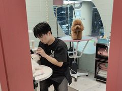 -FAELING PETS美天灵宠物(合生汇店)