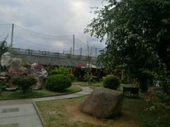 -朝伟清真铜瓢牛肉馆(三十年老·店)