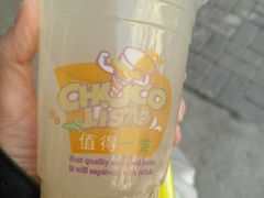 -德禄酸奶(莫家街店)