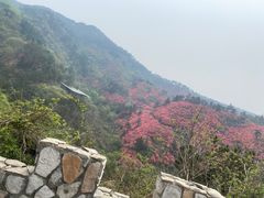 -木兰云雾山