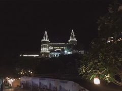 -芽庄珍珠岛游乐园