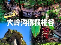 -大岭沟猕猴桃谷风景区