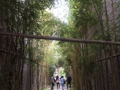 -龙潭水乡