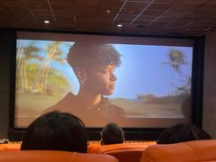 -华美国际影城(旧宫永辉店)